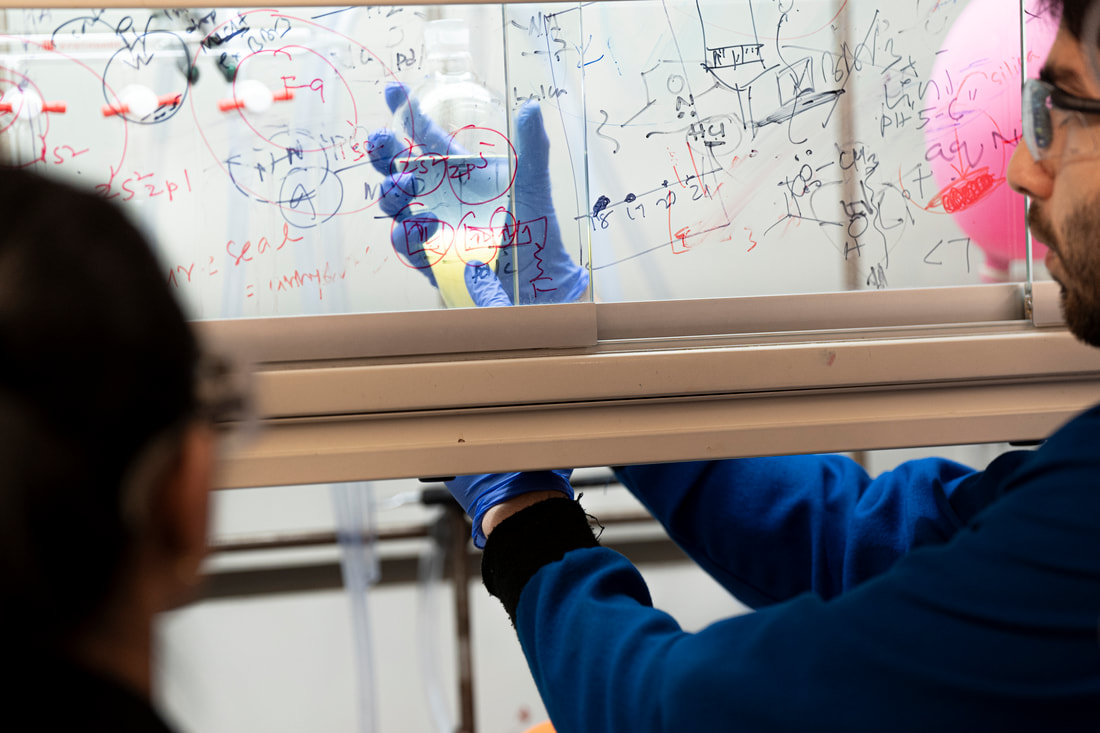 Lab member working at the bench