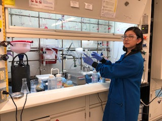 Lab member working at the bench